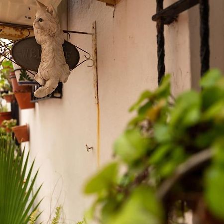 El Patio De La Vina By Gades Gestion Διαμέρισμα Καντίζ Εξωτερικό φωτογραφία